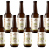 BIRRA IPA 330 ml CT 10 PEZZI